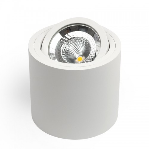 OxyLED SASARI RO 15W 1436lm 3000K Biała DLN15 36 3K R biały