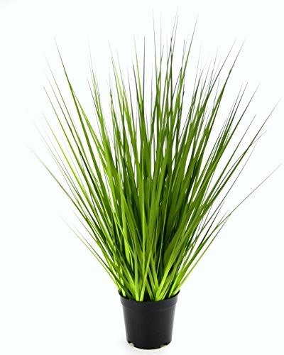 Flair Flower trawy w doniczce, tworzywo sztuczne, zielony, 60 x 20 x 20 cm 151450GN