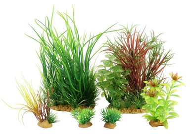 Zolux Dekoracja Roślinna Plantkit Jalaya Model 4