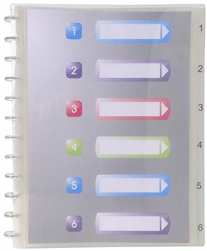 Exacompta Exacompta teczka z pierścieniami z polipropylenu, DIN A4 30 koszulek, kryształowa 3130630863205