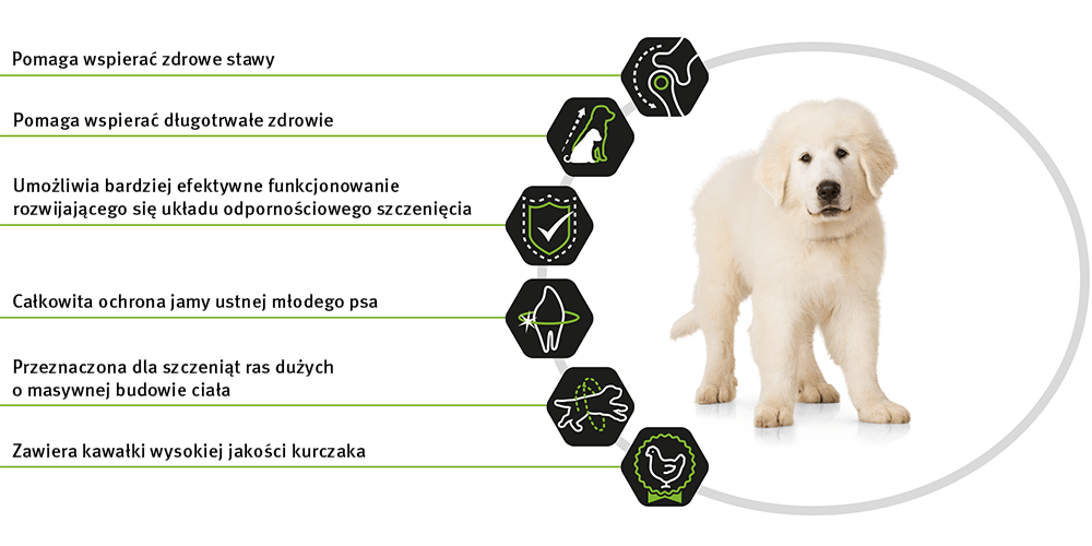 optistart-robust-puppy[1]