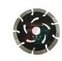 Heidmann Tarcza Diamentowa Segmentowa 230X22,2X10Mm, H00102