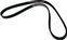 DAYCO Pasek micro ALT pompa wody Plymouth Voyager 2,5 1991-
