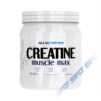 ALLNUTRITION Creatine Muscle Max 500g