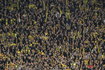 Germany, DORTMUND, 2012-04-21T190127Z_01_WR01_RTRIDSP_3_SOCCER-GERMANY.jpg