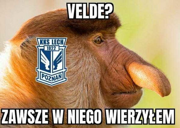 Memy po meczu Lech Poznań — Austria Wiedeń