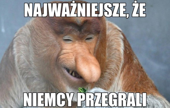 Memy po meczu Niemcy - Meksyk