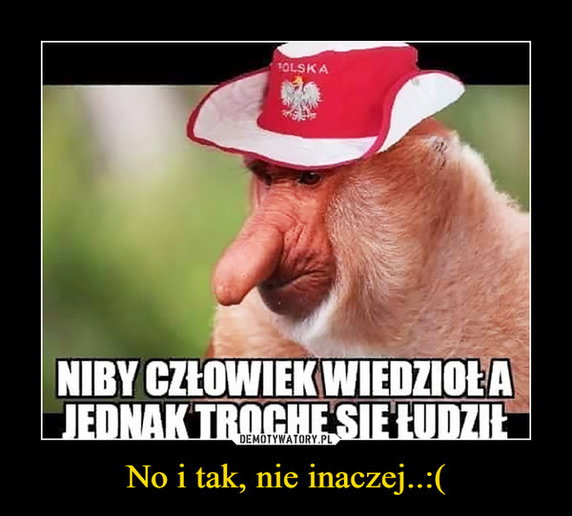 Memy po meczu Polska - Szwecja