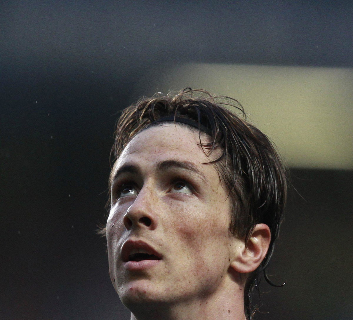 Fernando Torres