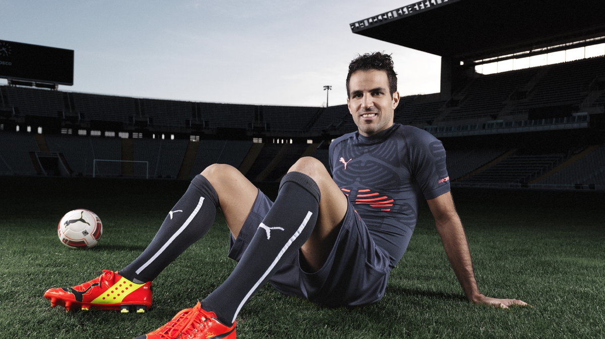 Cesc Fabregas