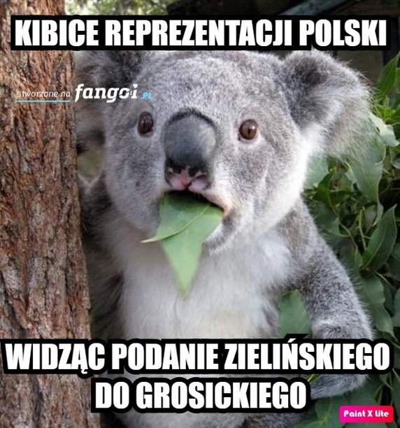 Memy po meczu Polska-Izrael