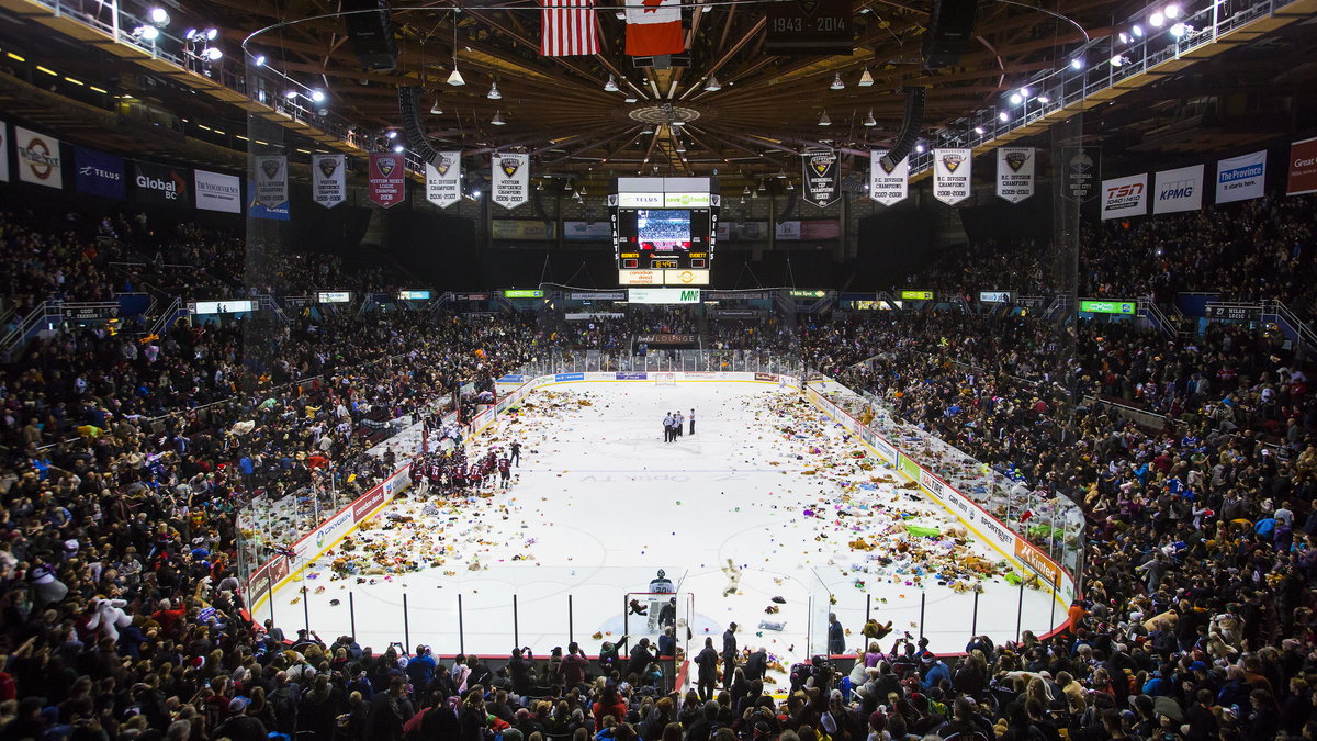 Teddy Bear Toss