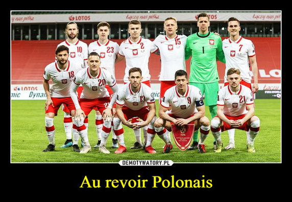 Memy po meczu Polska — Francja