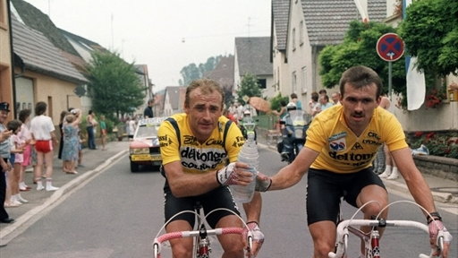 TDF87 - PIASECKI