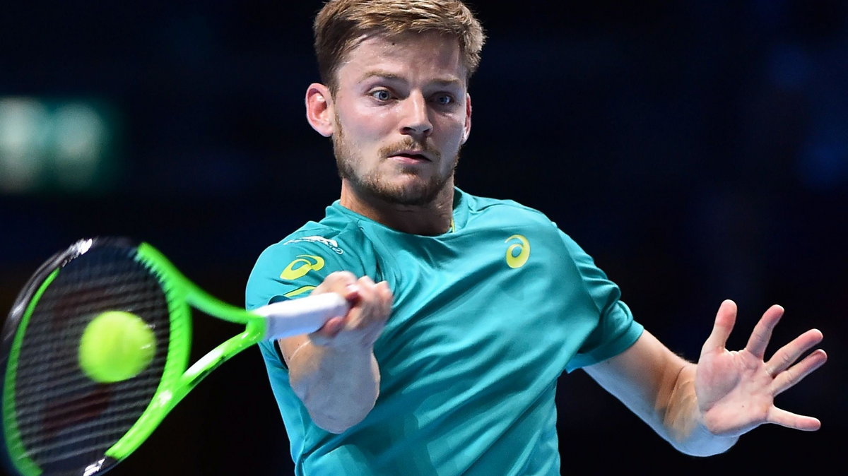 David Goffin