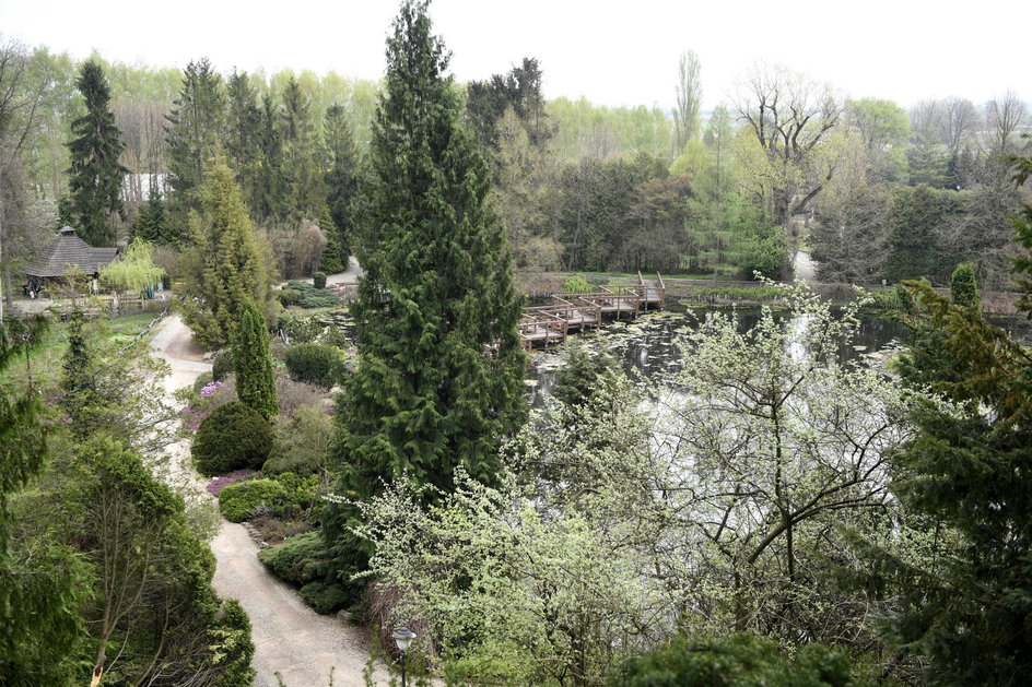 W założonym w 1975 roku Arboretum w Bolestraszycach na obszarze blisko 29 hektarów zgromadzono kilka tysięcy gatunków, odmian i form roślin w wielu kolekcjach.