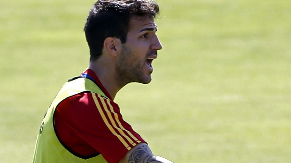 Cesc Fabregas