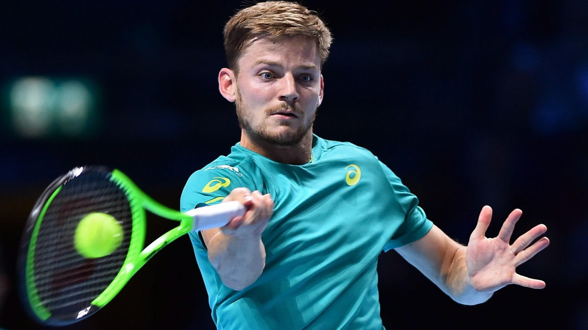 David Goffin