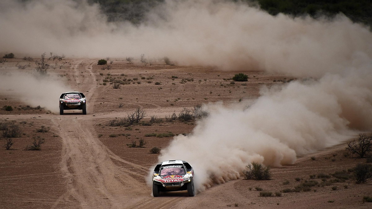 Sebastien Loeb