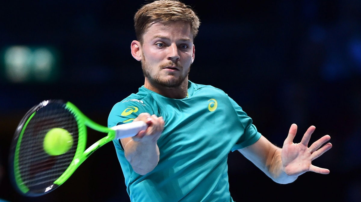 David Goffin