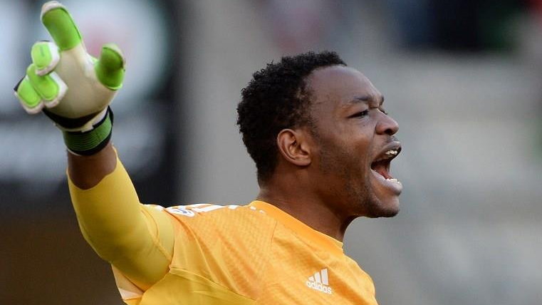 Steve Mandanda (31 lat)