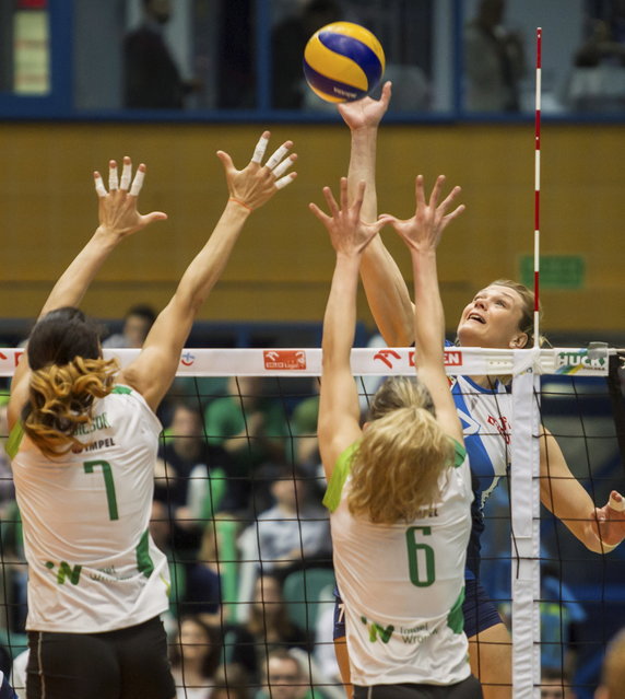 SIATKÓWKA IMPEL WROCŁAW KONTRA CHEMIK POLICE (Makare Wilson Frauke Dirickx Małgorzata Glinka-Mogentale)