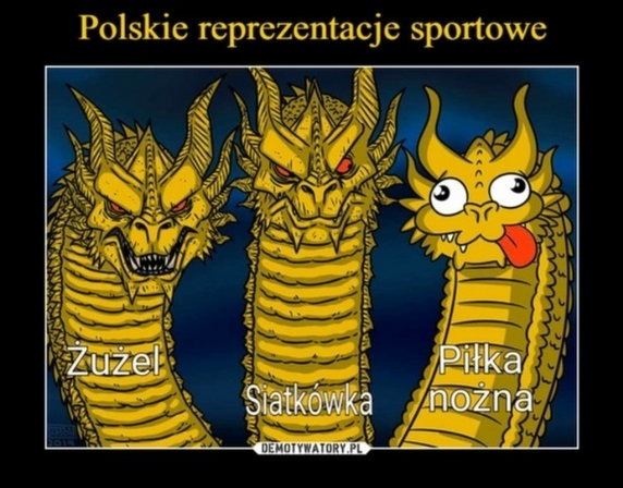 Memy po meczu Polska - Szwecja