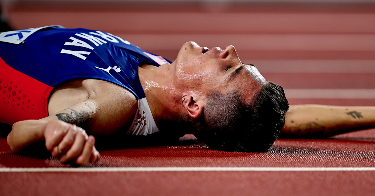 En skandale i stjernefamilien!  Saken ligger i politiets hender.  «Sirkuset må stoppe»