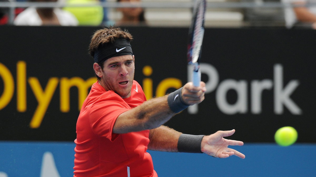 Juan Martin del Potro