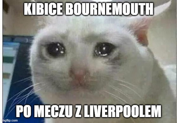 Memy po meczu Liverpool — Bournemouth