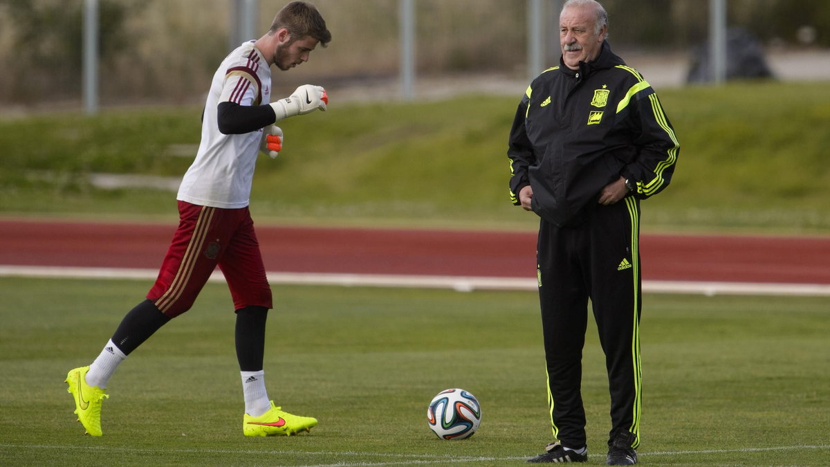 David de Gea i Vicente del Bosque