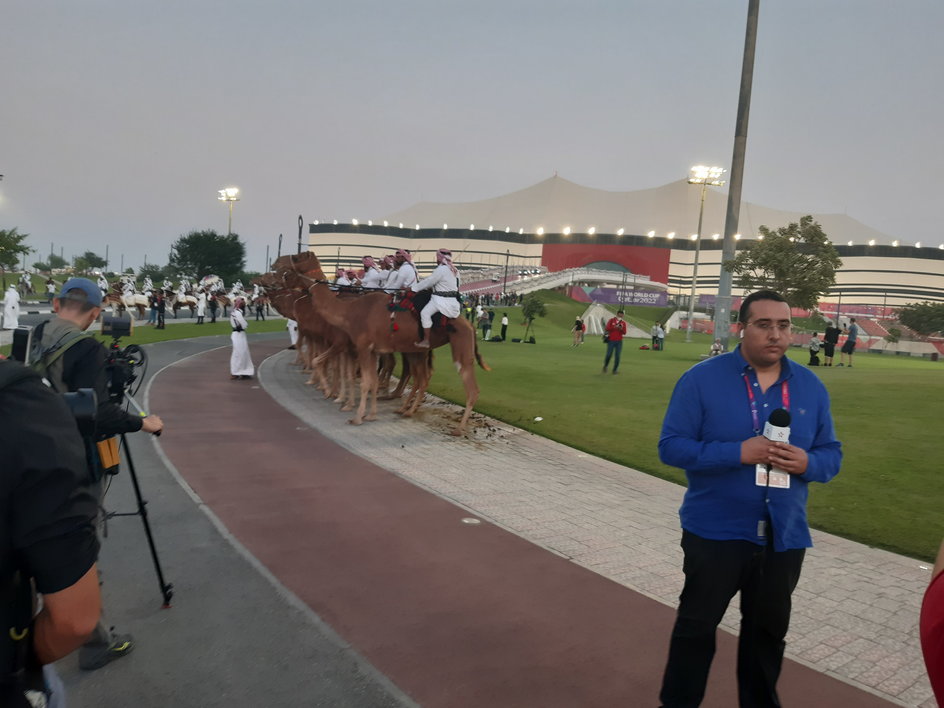 Zagraniczny dziennikarz nadający relację na tle wielbłądów przed stadionem Al Bayt.