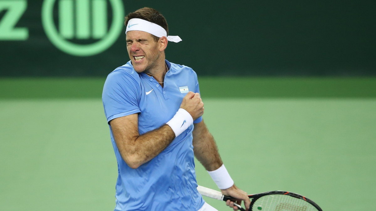 Juan Martin del Potro