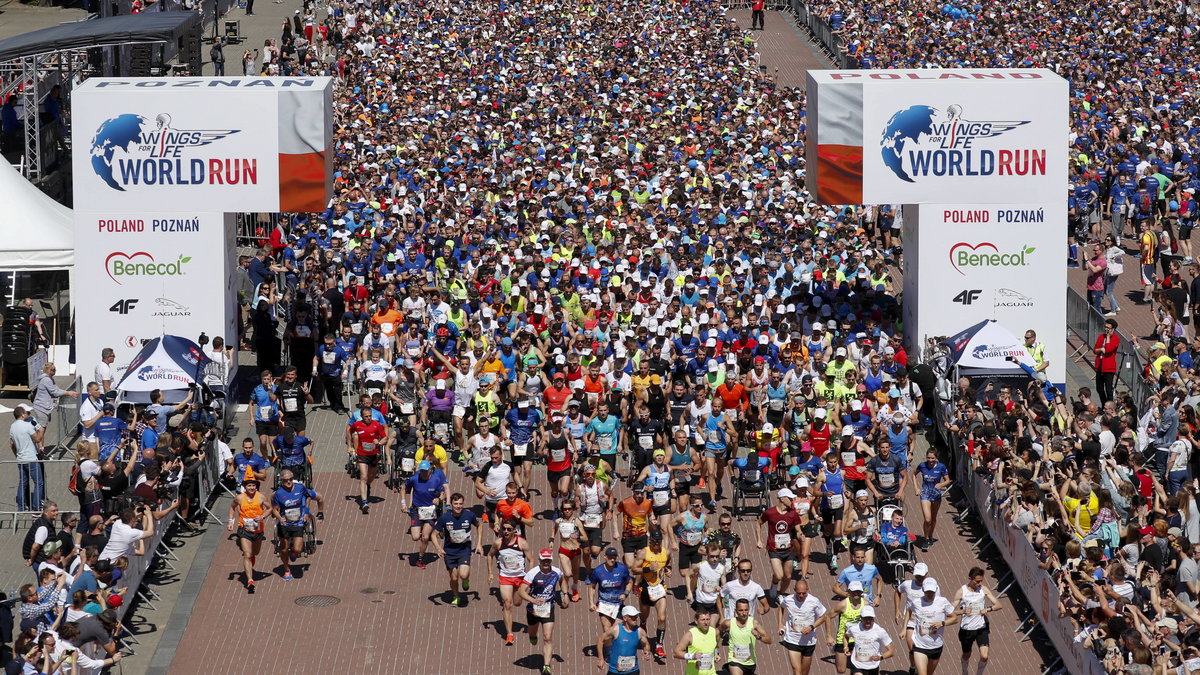 Wings for Life World Run w Poznaniu fot Damian Kramski