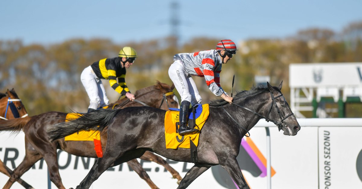 W niedzielę na Służewcu inauguracja sezonu wyścigów konnych