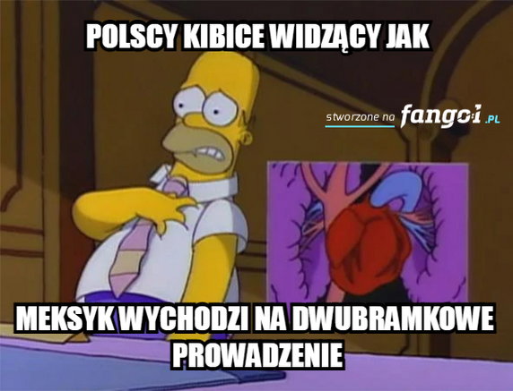 Memy po meczu Polska – Argentyna