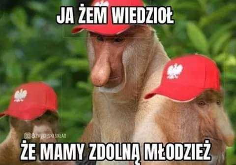 Jedziemy na Euro 2020! Memy po Polska – Macedonia Północna