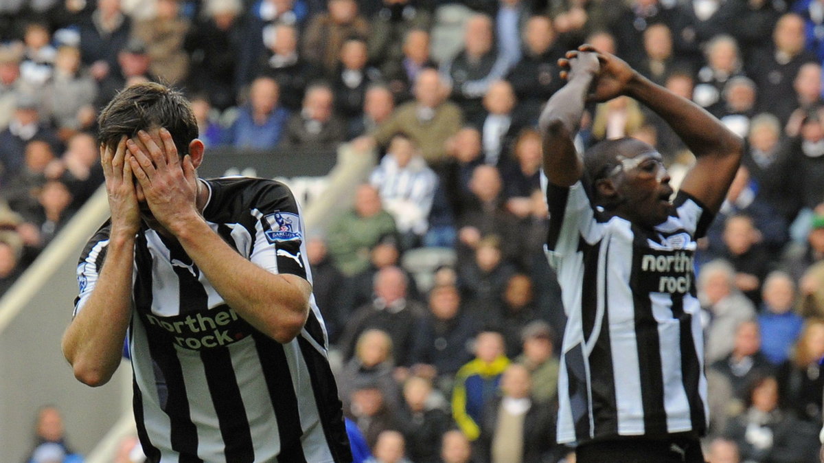 Shola Ameobi (P)