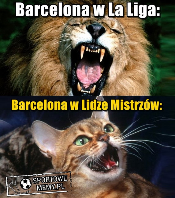 Mem po meczu FC Barcelona - AS Roma fot. Internet