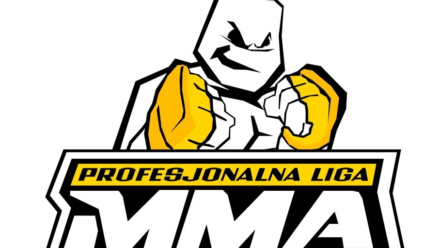 Profesjonalna liga MMA