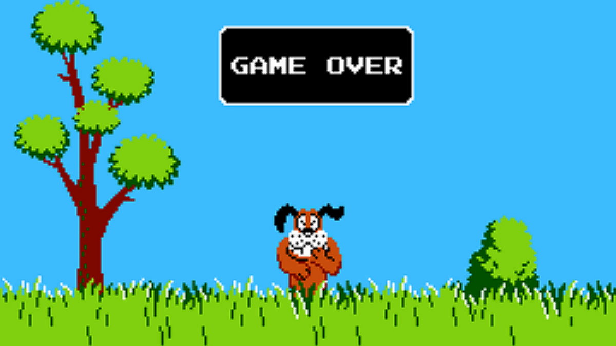 Duck Hunt