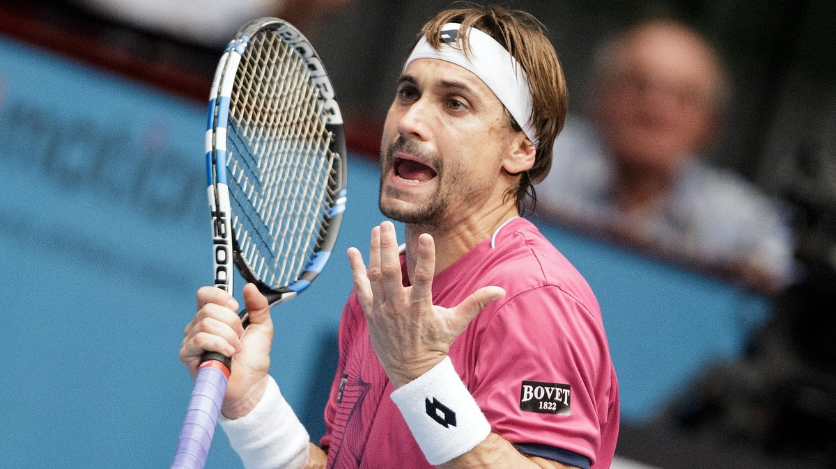 David Ferrer