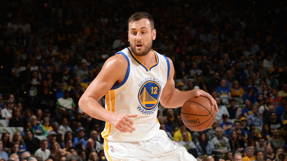 Andrew Bogut