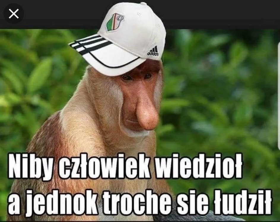 Memy po meczu Górnik Zabrze - Legia Warszawa