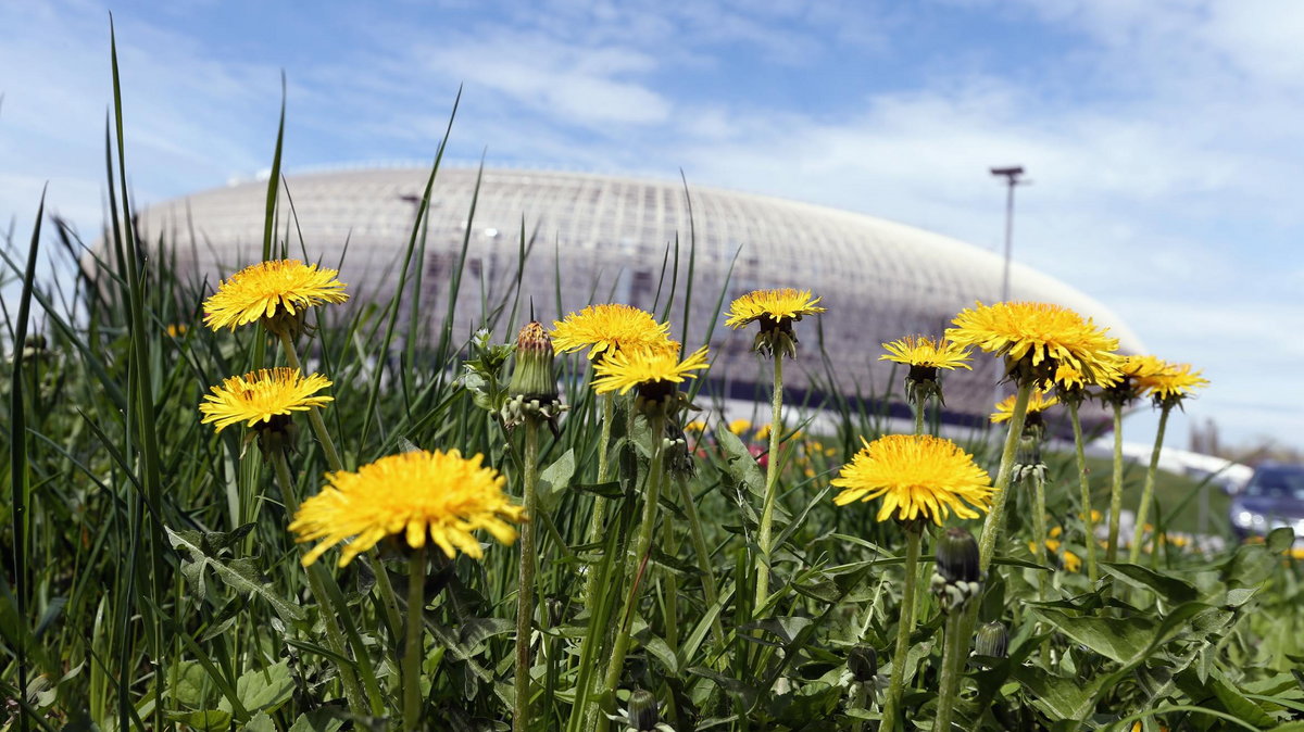 Tauron Arena Kraków