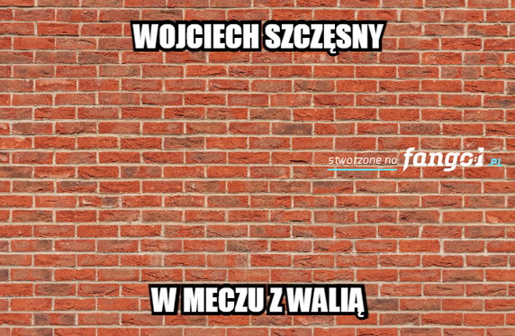 Memy po meczu Walia - Polska