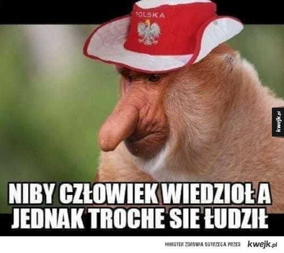 Holandia - Polska. Memy po meczu Ligi Narodów