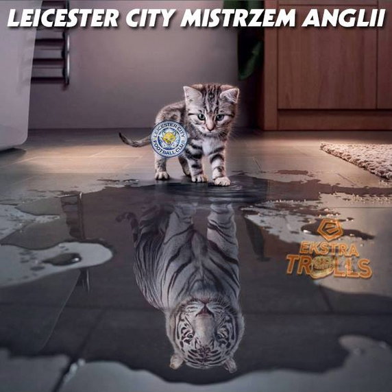 Leicester City mistrzem Anglii! Memy