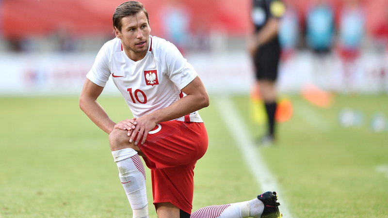 Grzegorz Krychowiak