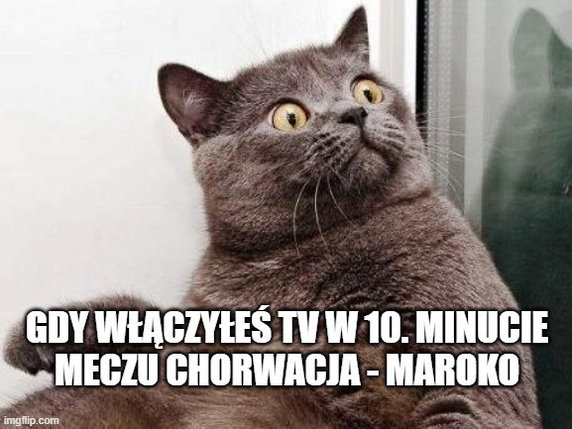 Memy po meczu Chorwacja — Maroko